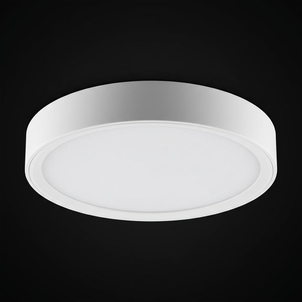 SF Round Ceiling